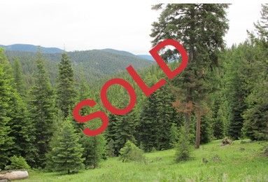 NAI Cascade - Bear Creek